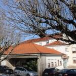 Centro Hospitalar Tondela/ Viseu E.P.E. - Hospital Cândido Figueiredo - Tondela